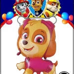 بادکنک فویلی سگ های نگهبان طرح اسکای